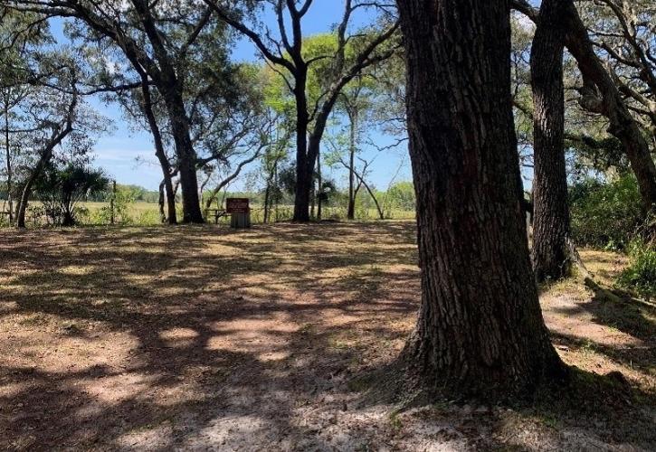 an open area with trees, picnic tables, and signs